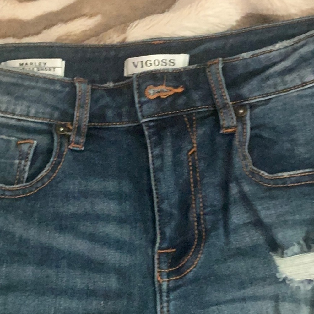 Vigoss High Rise Blue Jeans with Distressed Details